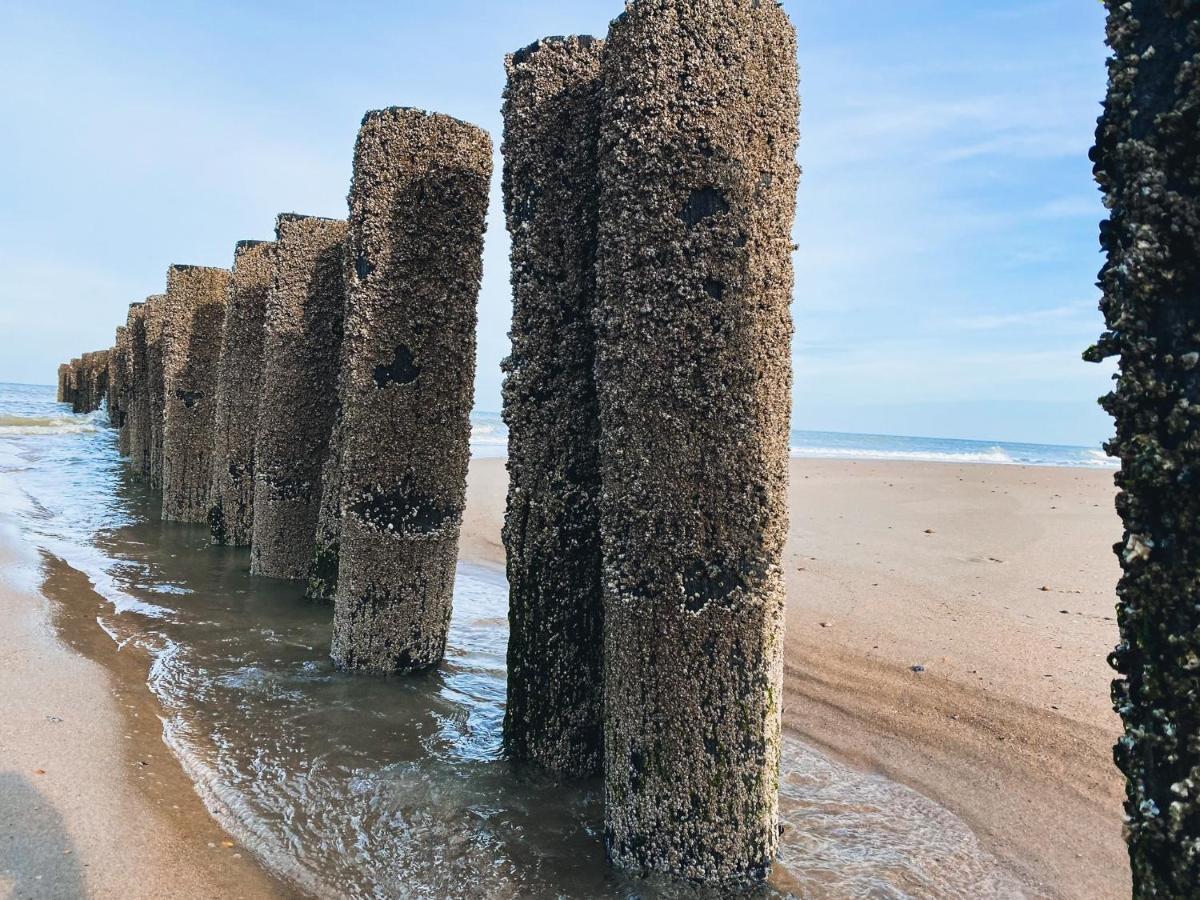 Vakantiehuis Domburg Do33 Zewnętrze zdjęcie